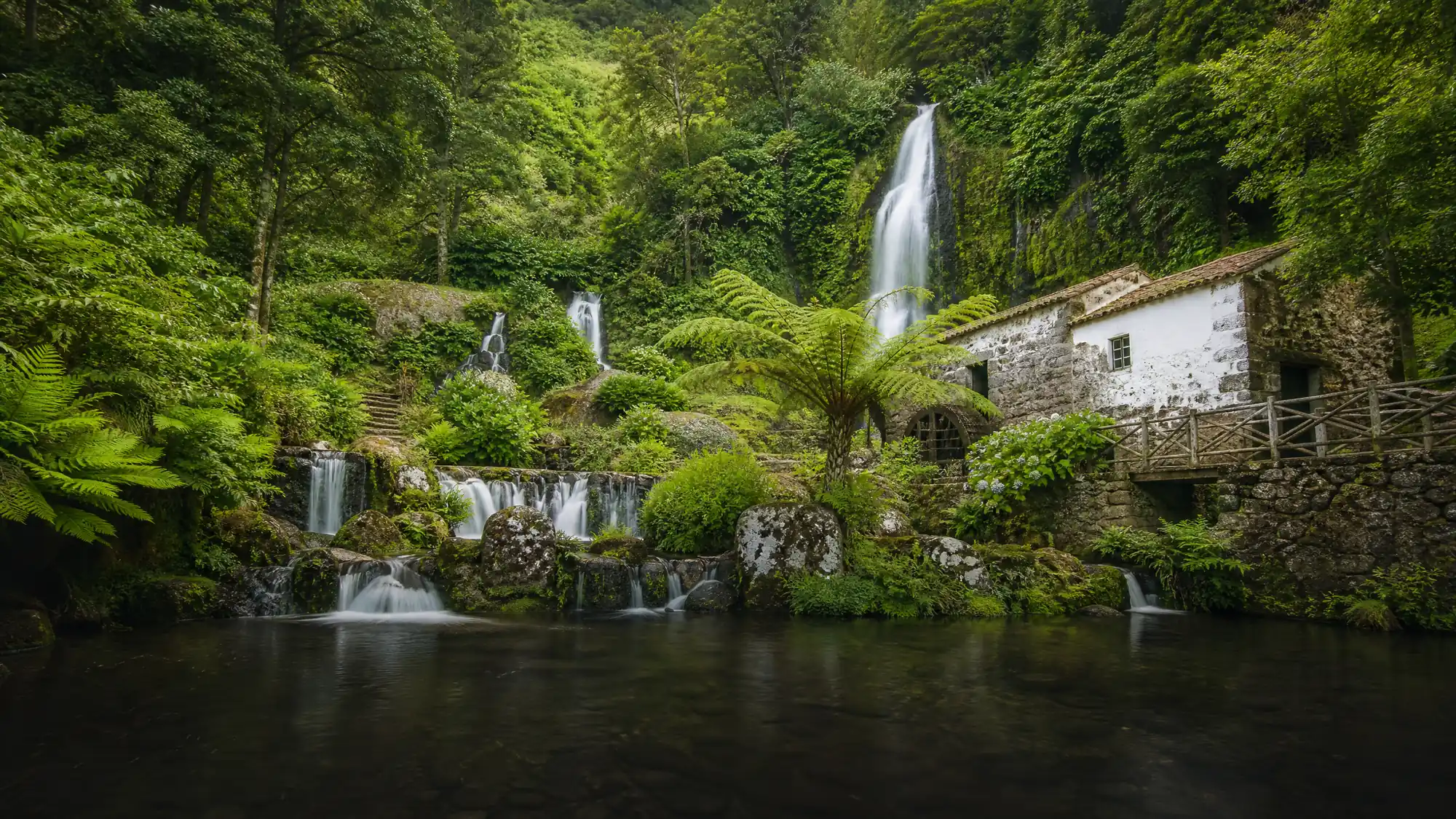 Erkunden Sie die makaronesische Flora, historische Wassermühlen und herabstürzende Wasserfälle auf kostenlosen Wegen, oder nehmen Sie an einer geführten Canyoning-Tour in der Basaltschlucht des Parks teil.